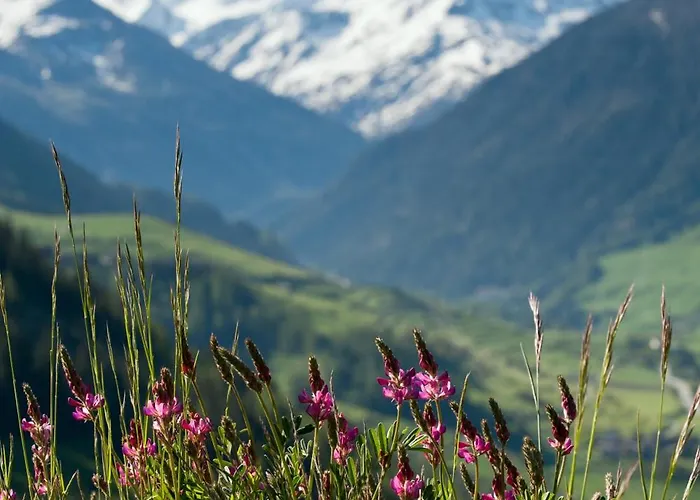 Montagne Alternative 4* Orsières