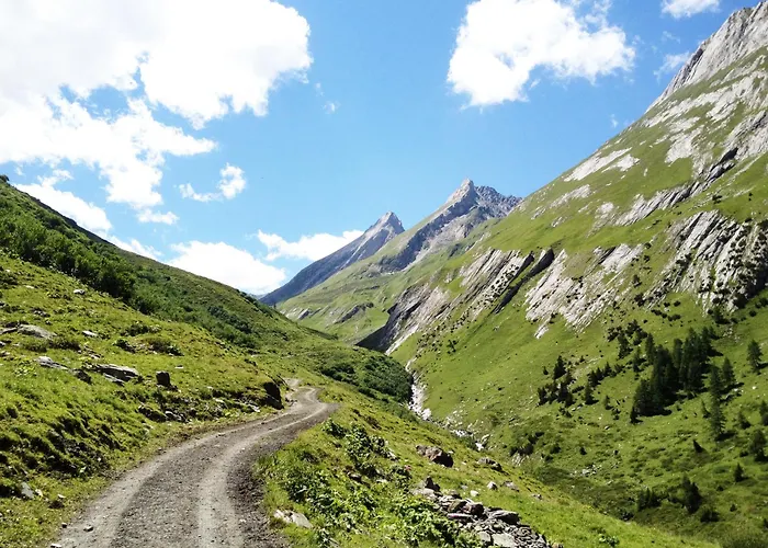 Montagne Alternative Resort 4*