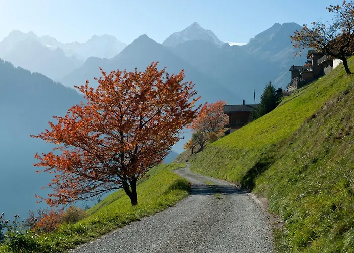 Resort Montagne Alternative Orsières